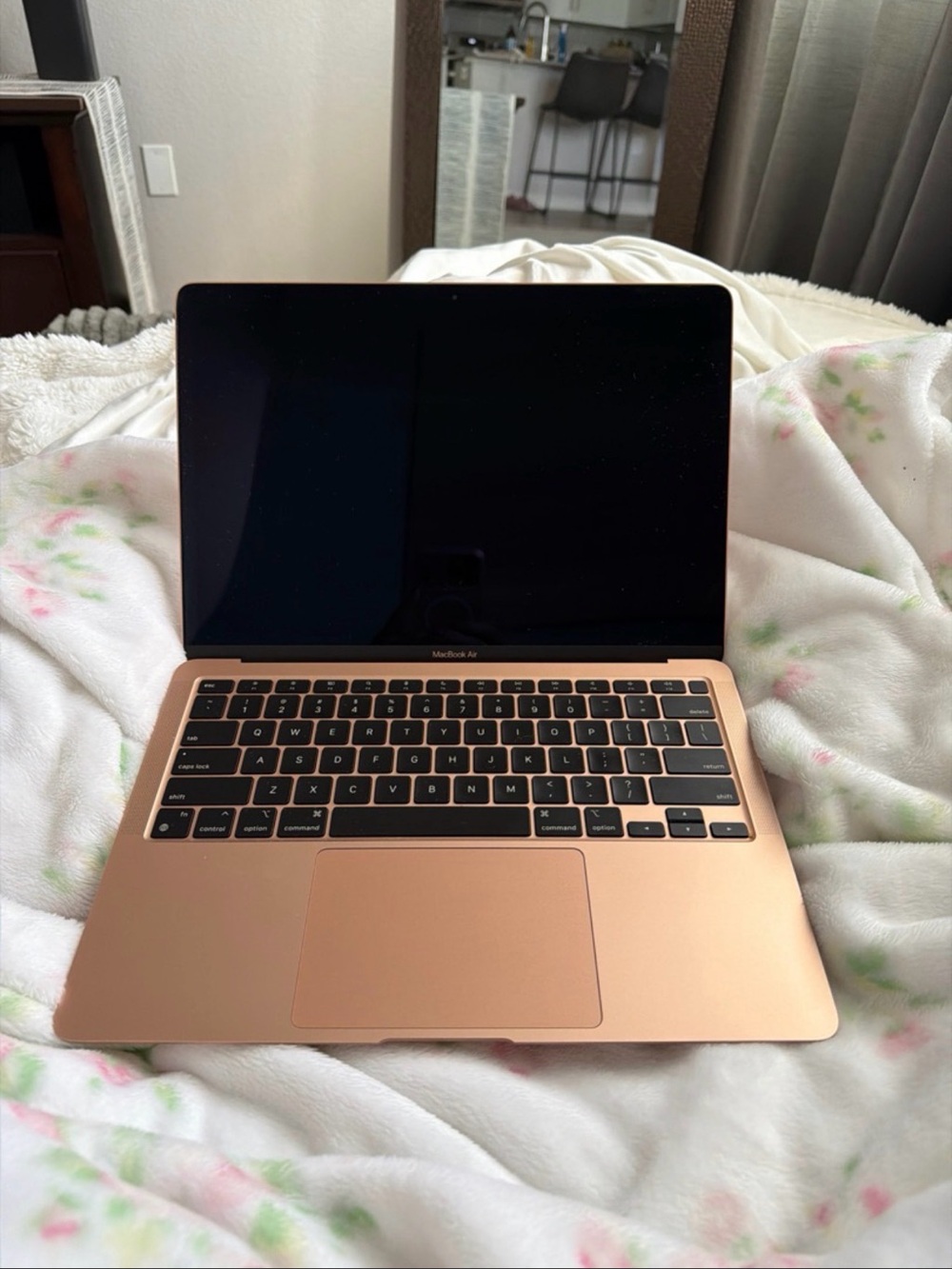 Apple 13" MacBook Air in Rose Gold Finish